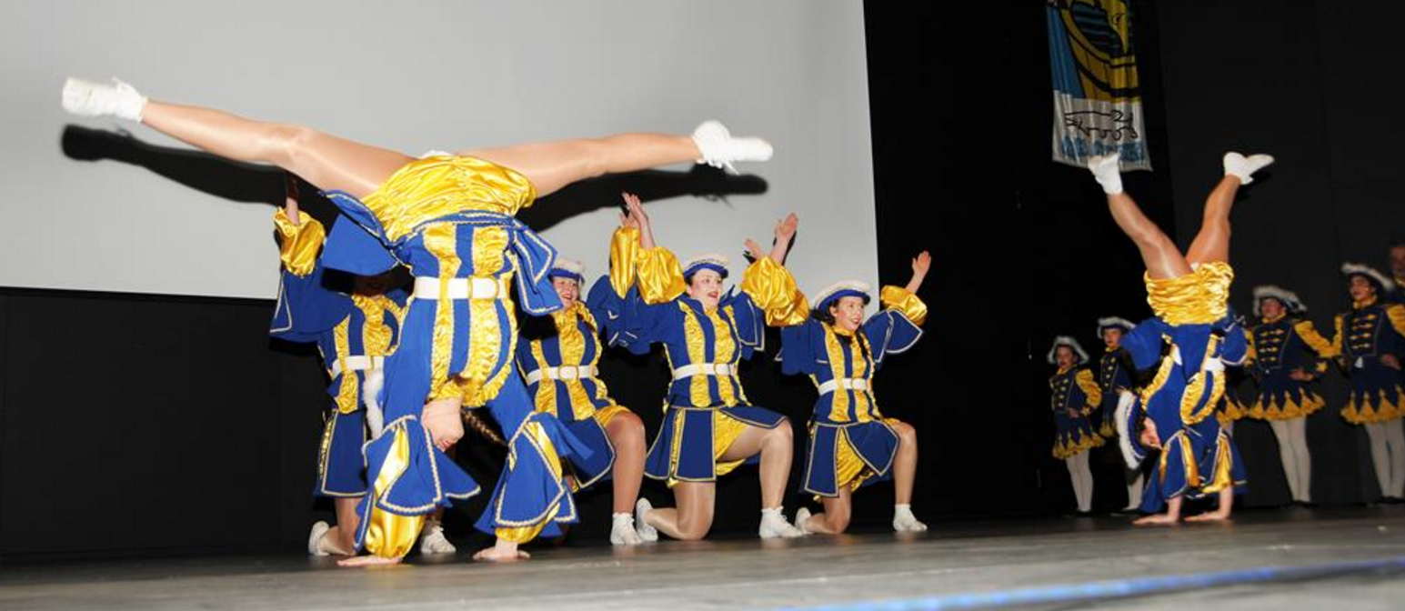 Landesgardegala 2016 in Hard als Besuchermagnet